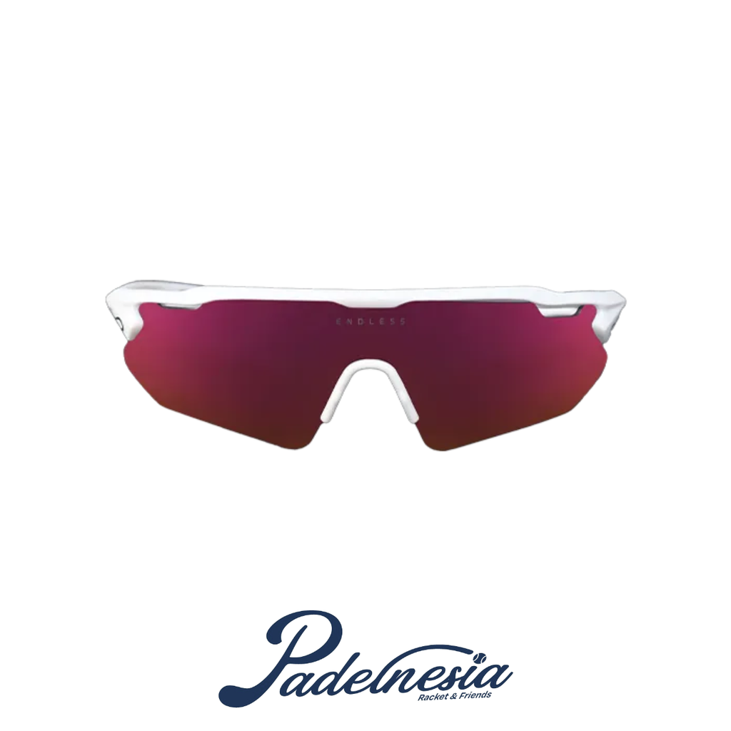 Endless Shelter Pro Goggles