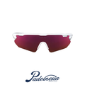 Endless Shelter Pro Goggles