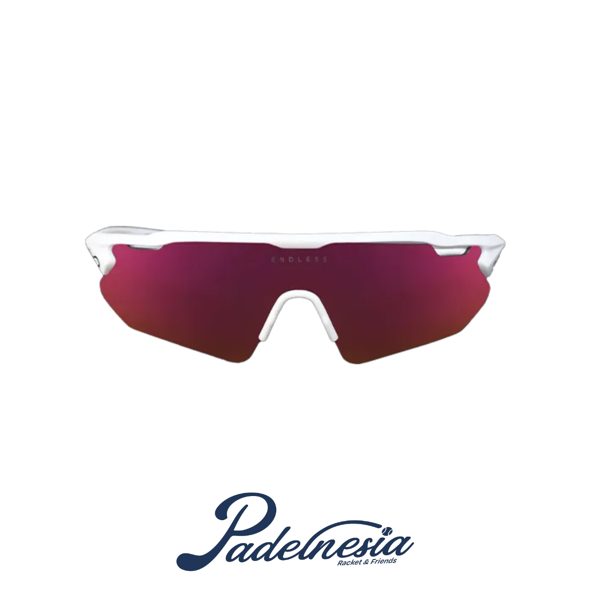 Endless Shelter Pro Goggles
