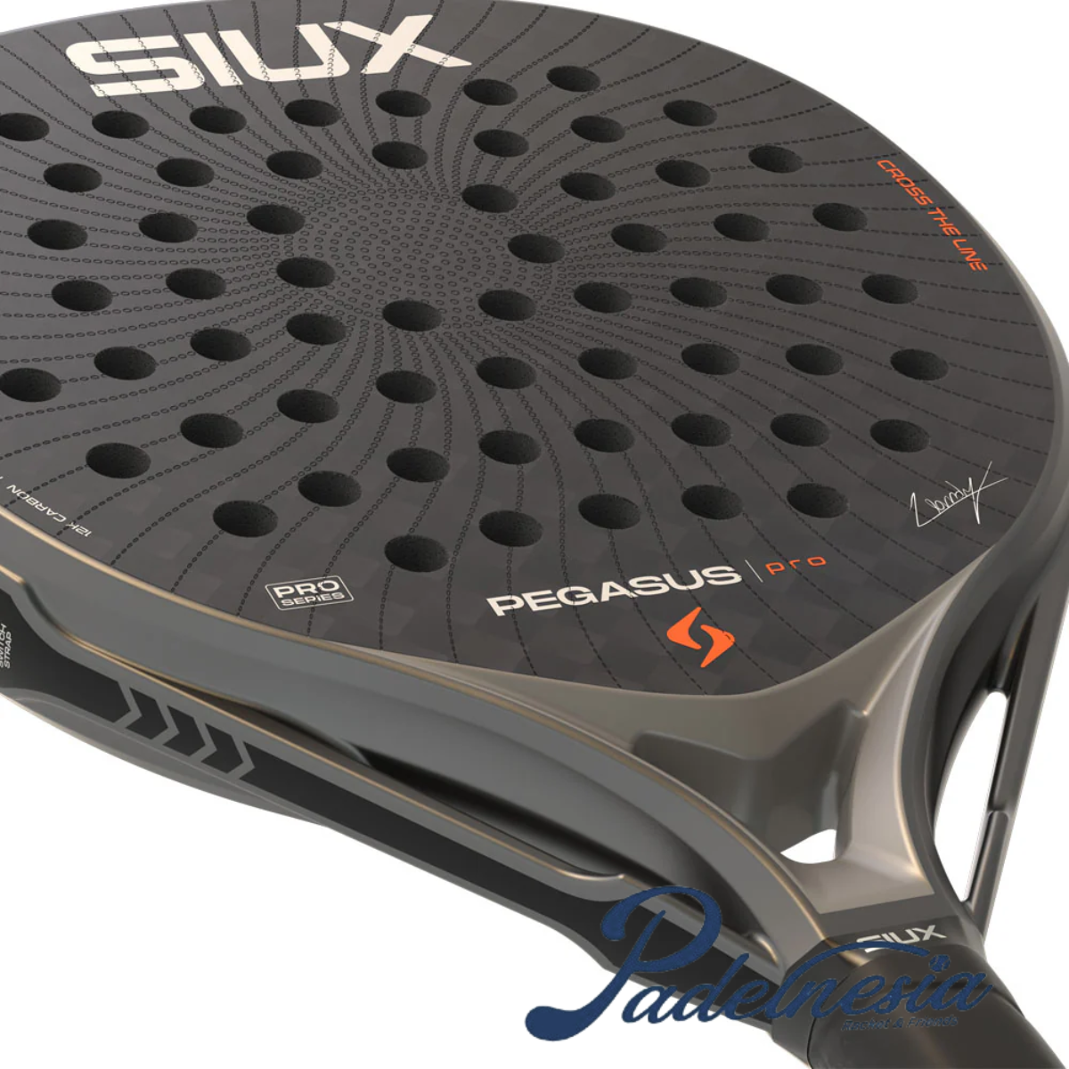 Siux Pegasus Pro 2026 Storm Grey - Padel Racket