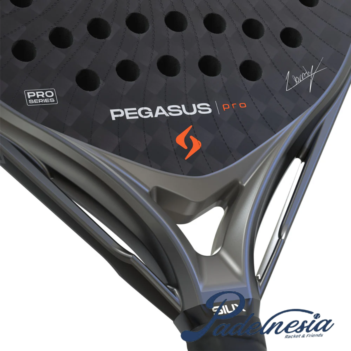 Siux Pegasus Pro 2026 Storm Grey - Padel Racket